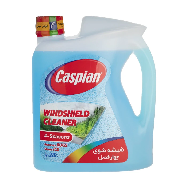 شیشه شوی اتومبیل اکشن 4 لیتر